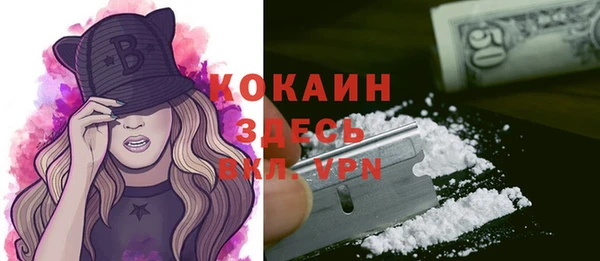 дурь Арсеньев