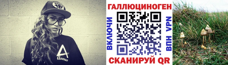 Псилоцибиновые грибы мицелий  кракен tor  Мурманск  наркотики 