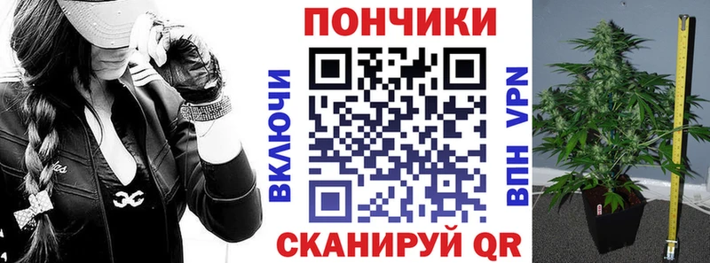 Бошки Шишки план  Мурманск 